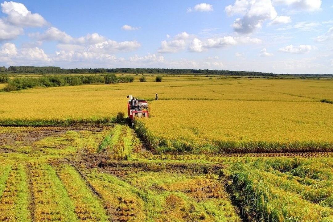 agriculture study tour in china